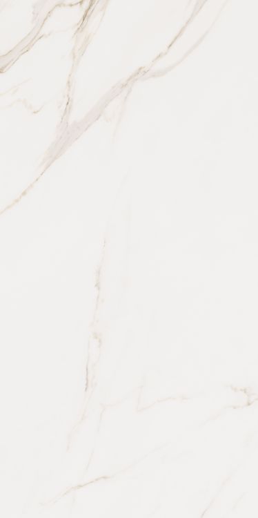 Omnia Calacatta Matte 24 x 48